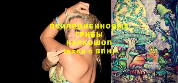 шишки Новозыбков