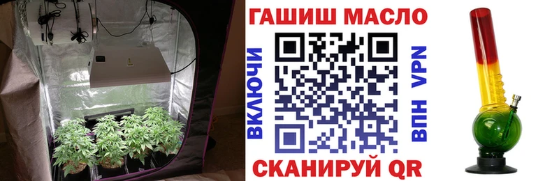 мега ссылки  Вышний Волочёк  Дистиллят ТГК THC oil  как найти наркотики 